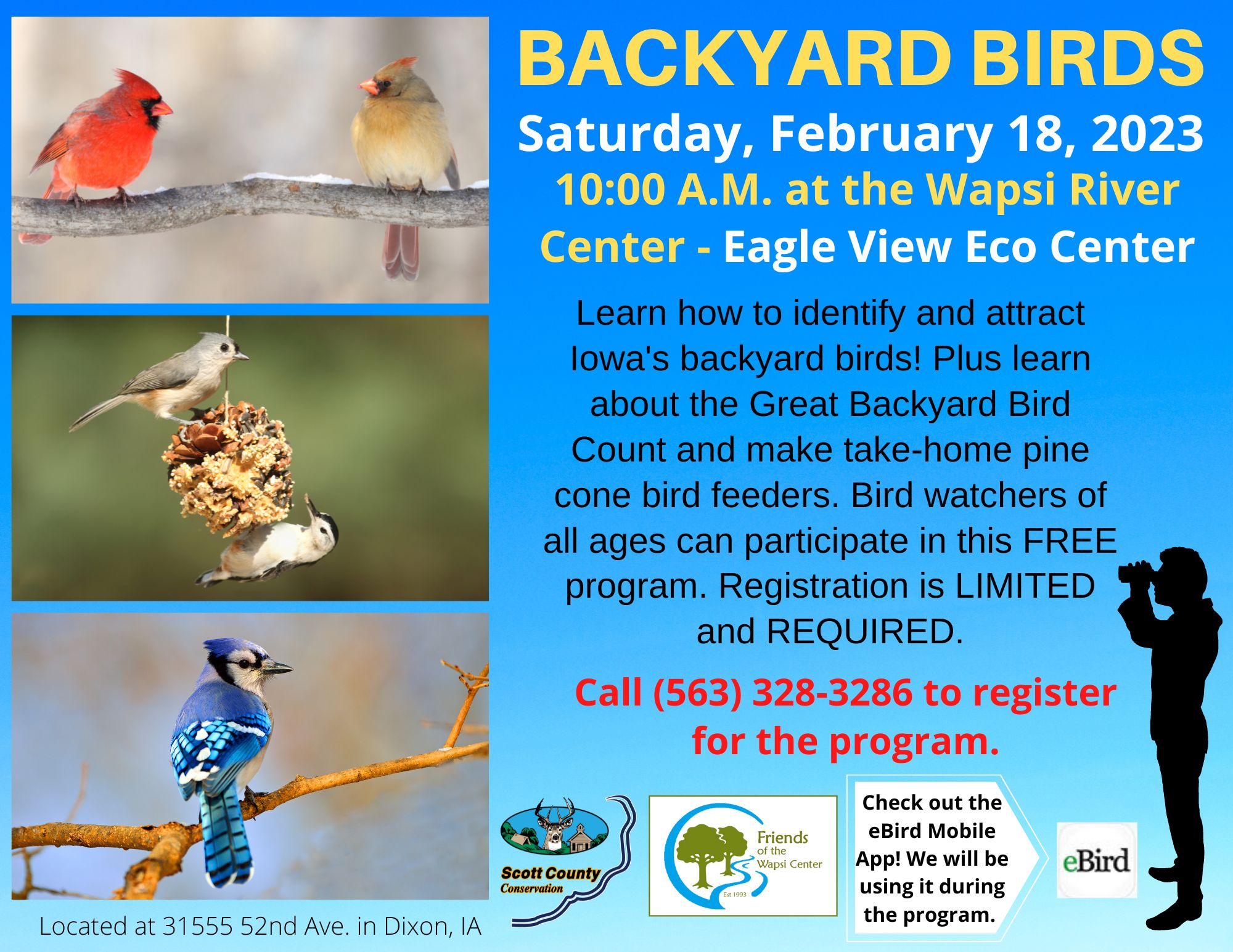 Great Backyard Bird Count 2025 Results Liz Sarita
